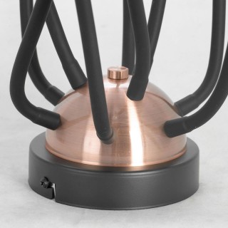 Потолочный светильник Lussole  Regina GRLSP-8247-foto3