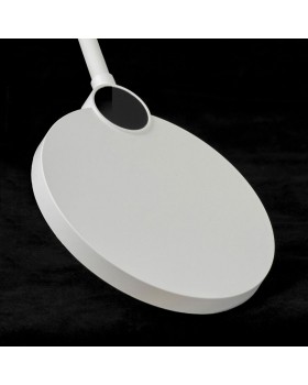 Торшер Lussole LSP-0919-foto3