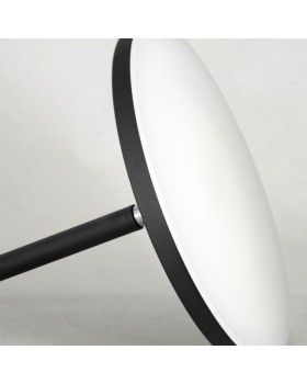 Торшер Lussole LSP-0901-foto2