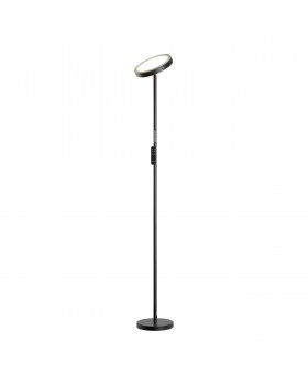 Торшер Lussole LSP-0901-SE