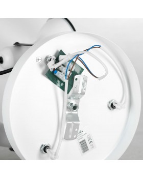 Спотовый светильник Lussole LSP-8803-foto4