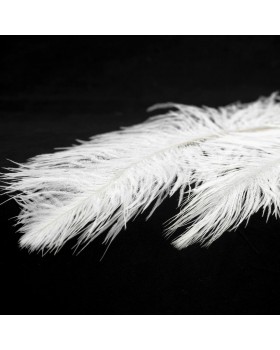 Люстра Lussole LSP-8601-foto2