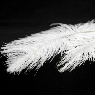 Люстра Lussole LSP-8600-foto2