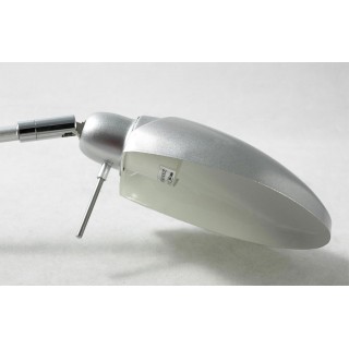 Настольная лампа Lussole  Roma GRLST-4364-01-foto3