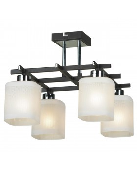 Потолочный светильник Lussole  Costanzo LSL-9007-04