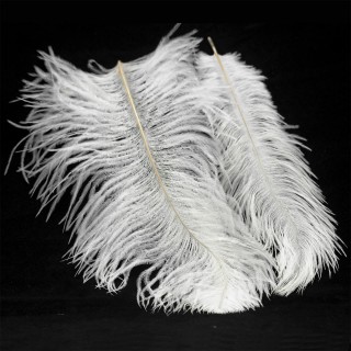 Люстра Lussole LSP-8600-foto3