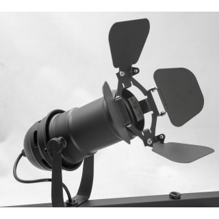 Спот Lussole  Thornton GRLSP-8076-foto3