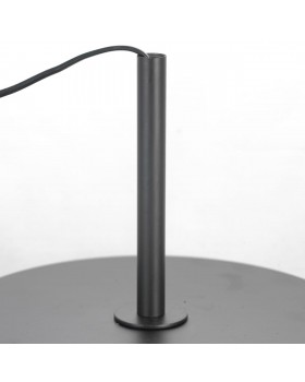 Торшер Lussole LSP-0590-foto6