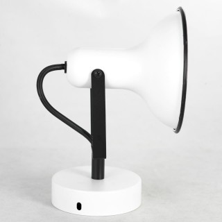 Спотовый светильник Lussole LSP-8801-foto2