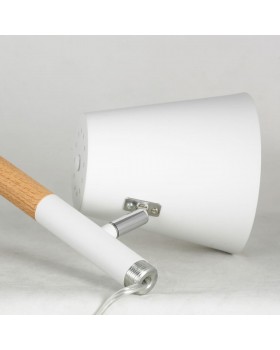 Торшер Lussole LSP-0628-foto3