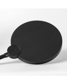 Торшер Lussole LSP-0918-foto3