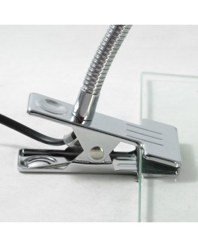 Настольная лампа Lussole  Roma LST-4264-01-foto3