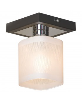 Потолочный светильник Lussole  Costanzo GRLSL-9007-01