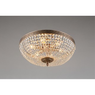 Люстра потолочная Aployt APL.756.07.06-foto13