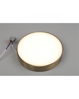 Светильник настенно-потолочныйAploytAPL.0113.29.24-foto3