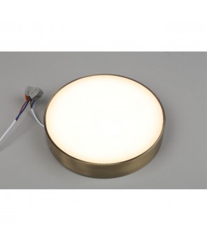 Светильник настенно-потолочныйAploytAPL.0113.29.24-foto3