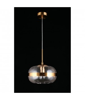 Светильник подвеснойAploytAPL.305.06.01-foto7