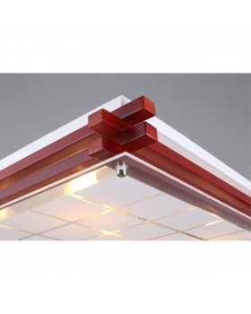 Светильник настенно-потолочныйOmniluxOML-40527-05-foto4