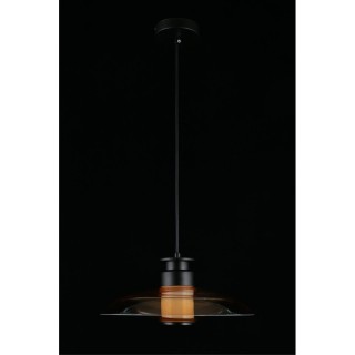 Светильник подвесной Aployt APL.648.16.10-foto7