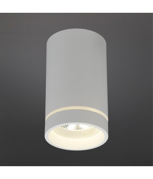 Светильник встраиваемый-накладнойAploytAPL.0054.09.10-foto2