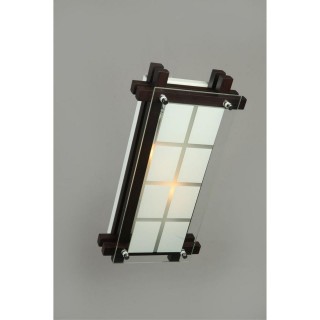 Светильник настенно-потолочныйOmniluxOML-40501-02-foto2