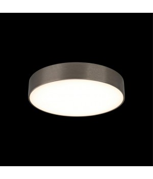 Светильник настенно-потолочныйAploytAPL.0114.19.24-foto8