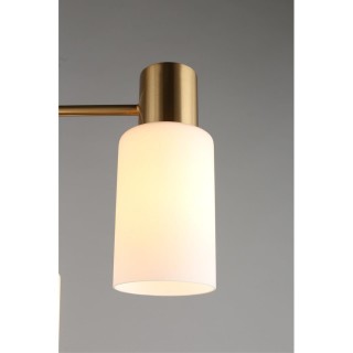 Люстра потолочнаяOmniluxOML-69107-08-foto5