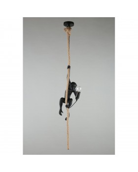 Светильник подвеснойAploytAPL.309.16.01-foto15