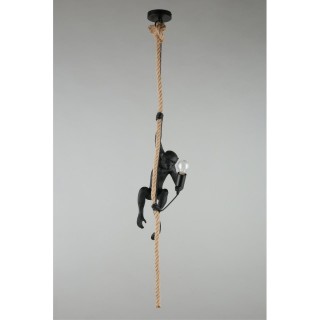 Светильник подвеснойAploytAPL.309.16.01-foto15