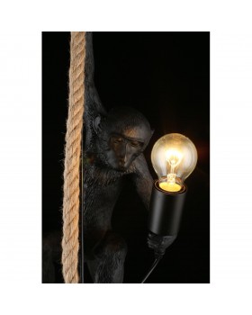 Светильник подвеснойAploytAPL.309.16.01-foto5