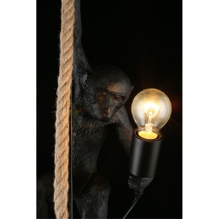 Светильник подвеснойAploytAPL.309.16.01-foto5