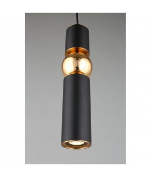 Светильник подвеснойAploytAPL.615.06.01-foto3