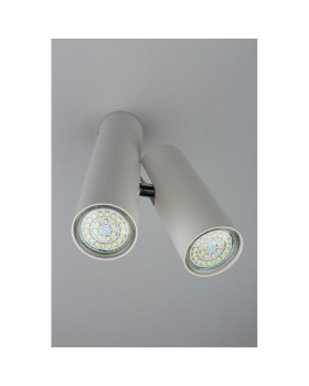 Светильник настенно-потолочныйAploytAPL.006.02.02-foto3