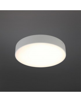 Светильник настенно-потолочныйAploytAPL.0113.09.24-foto2