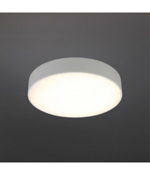 Светильник настенно-потолочныйAploytAPL.0113.09.24-foto2