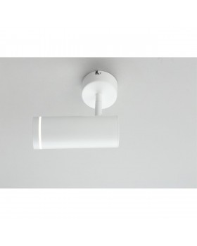 Светильник настенно-потолочныйOmniluxOML-102219-12-foto4