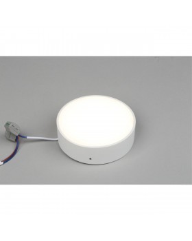 Светильник настенно-потолочныйAploytAPL.0113.09.12-foto3