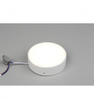 Светильник настенно-потолочныйAploytAPL.0113.09.12-foto3