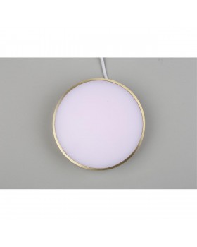 Светильник настенно-потолочныйAploytAPL.0114.29.18-foto6