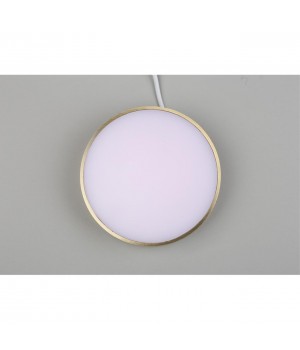 Светильник настенно-потолочныйAploytAPL.0114.29.18-foto6