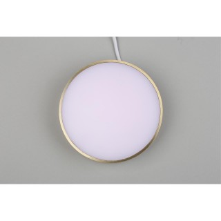 Светильник настенно-потолочныйAploytAPL.0114.29.18-foto6