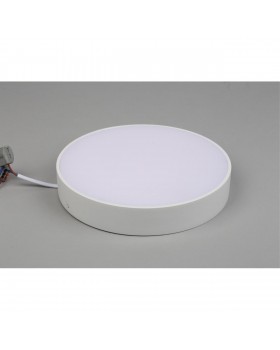 Светильник настенно-потолочныйAploytAPL.0113.09.24-foto5