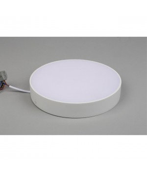 Светильник настенно-потолочныйAploytAPL.0113.09.24-foto5