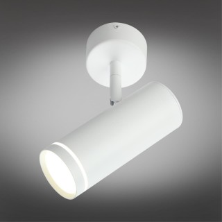 Светильник настенно-потолочныйOmniluxOML-102219-12-foto2