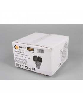 Светильник настенный (Бра)OmniluxOML-81801-02-foto6