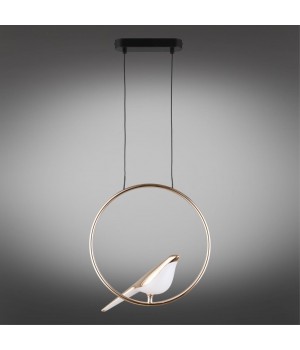 Светильник подвеснойAploytAPL.822.06.10-foto2