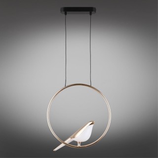 Светильник подвеснойAploytAPL.822.06.10-foto2