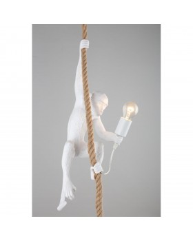 Светильник подвеснойAploytAPL.309.06.01-foto12