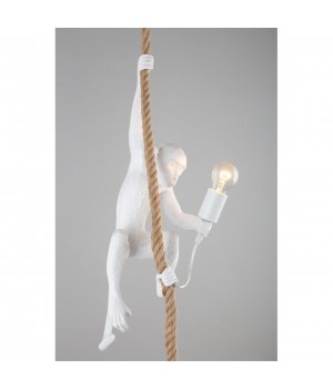 Светильник подвеснойAploytAPL.309.06.01-foto12