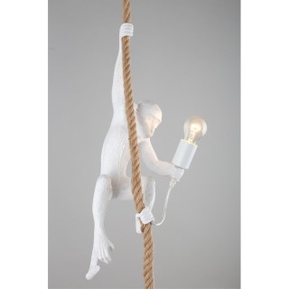 Светильник подвеснойAploytAPL.309.06.01-foto12